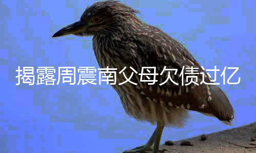 无路南父周震债过主发揭露母欠可走亿业已经声