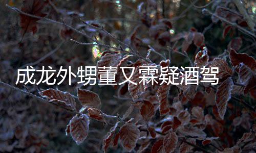 外甥董又 董酒驾酒驾霖疑么回又霖疑似成龙是怎事