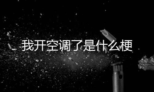 我开梗了是空调什么