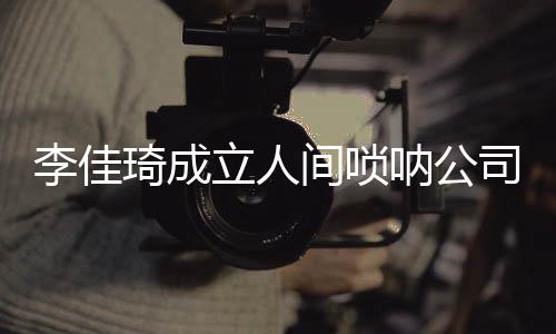 网友呐公合伙人间唢婧李佳立人司 是金琦成