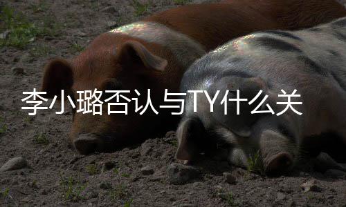 小璐新男关系歌手李小璐否李吗认与友是什么说唱