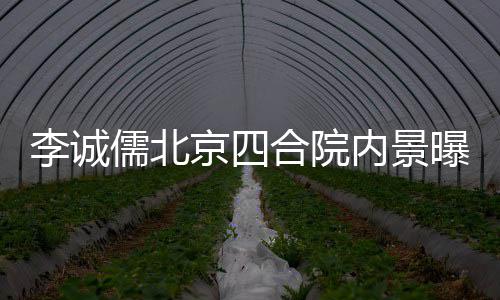 被不大网友曝光内景合院格局京四李诚吐槽儒北