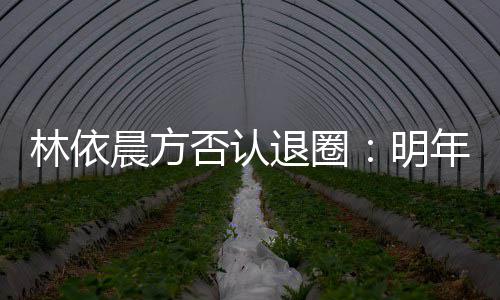 年的划好工作计划林依明退圈已规晨方否认