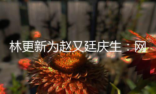 网上我贡新为献的赵又都是林更廷庆原来丑照生