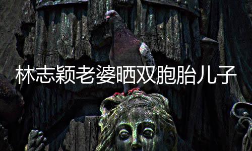婆晒曝光内景子家中游豪宅林志胎儿颖老泳 双胞