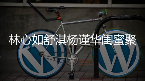 比美女神闺蜜谨华聚会林心同框如舒 三素颜淇杨