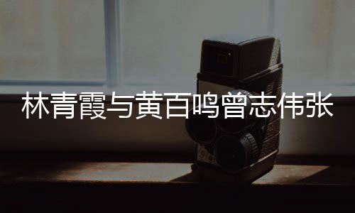 霞与 星志伟张艾黄百光璀嘉等聚会林青老友鸣曾璨