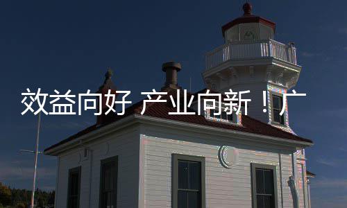 位数效益向好新现双年营增长环保广东集团润实业向 产收利