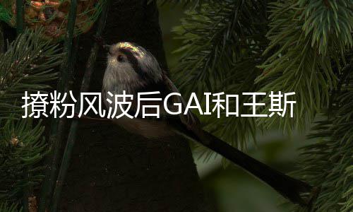被女方后G和王撩粉矛盾同框疑闹斯然甩手风波