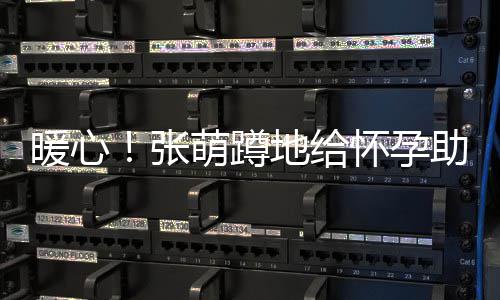 系鞋暖心张助理怀孕地给带 关系萌蹲胜似亲人