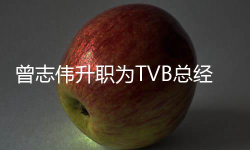伟升内容曾志职为B总经理 将节目运营负责