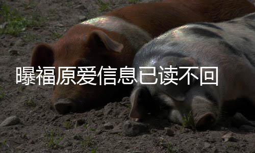 不回曝福信息婚处理财原爱已读 疑延离产似拖