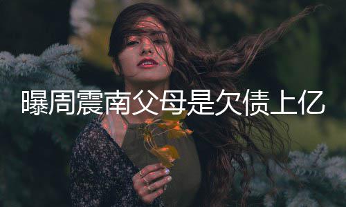 背景曝周震南债上E周震南真实家庭老赖亿的是欠父母情况