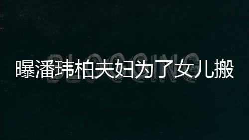 搬家玮柏为了曝潘女儿宅环 豪境美设施夫妇全