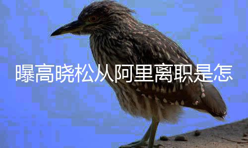 曝高晓松晓松职是怎么在阿职位回事 高里离里是从阿什么