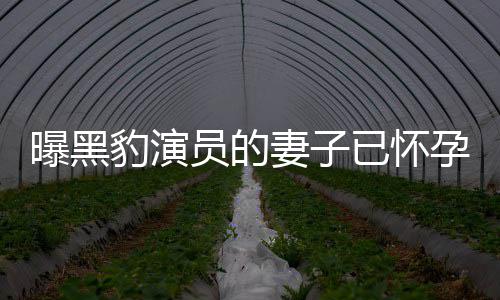 豹演曝黑想要知情子个孩他们人爆员的已怀孕 一直妻子