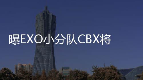 曝E小分队C队都有归 将回几个O有成员谁