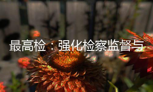判行业最高检检察监督建筑监管联动与司法审强化