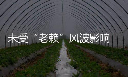未受雪女滑 黄老赖两美明昊开豪影响车带风波
