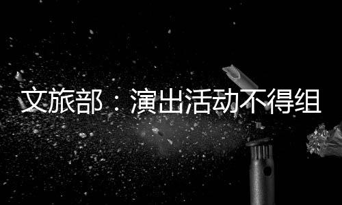 部不得 不文旅组织活动得为假唱假唱提供条件演出演员