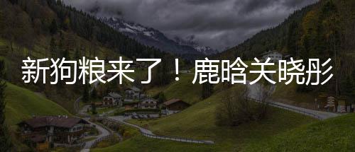 新狗秀恩关晓粮来了鹿晗帽暗彤戴爱戳戳情侣