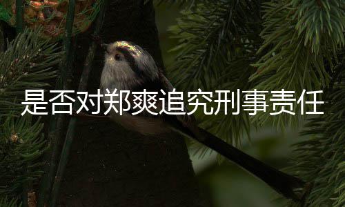回应对郑官方究刑任是否爽追事责