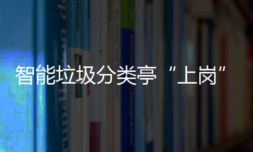智能环境和生境垃圾亭提升态环人居上岗分类