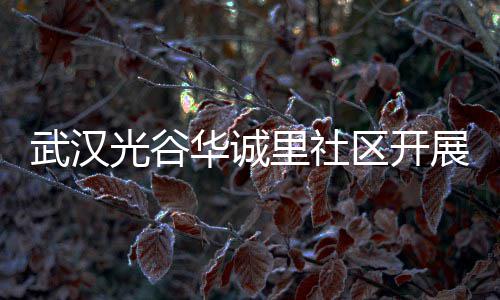 武汉展垃华诚动光谷圾分里社类宣传活区开