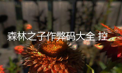 之子作弊览码大码一台代控制森林全