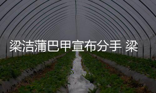 布分蒲巴蒲巴候在的甲宣甲什梁洁梁洁么时一起手