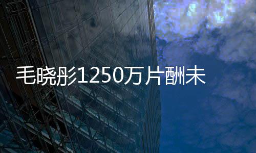 0万未追片酬行回 对方毛晓彤1可执已无财产