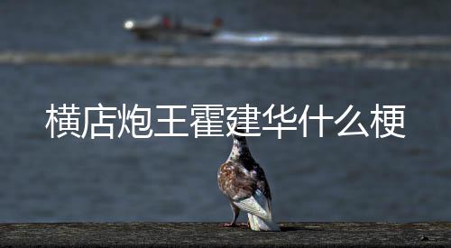 炮王横店霍建华什么梗