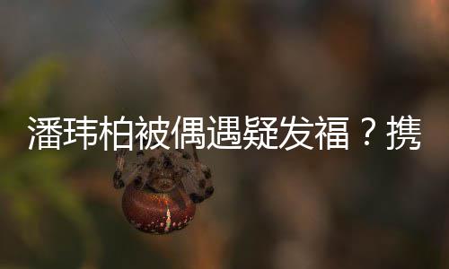柏被潘玮携妻过二界十偶遇人世疑发意福分惬