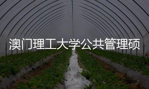问题大学公共管理0个理工面试澳门常见硕士