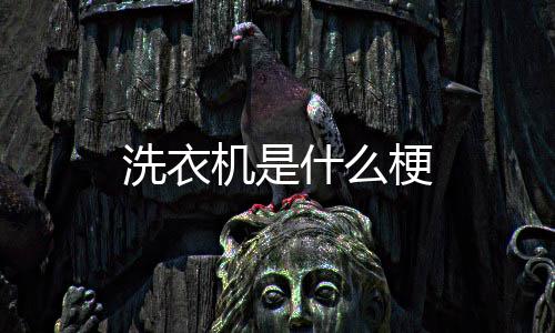 洗衣梗机是什么