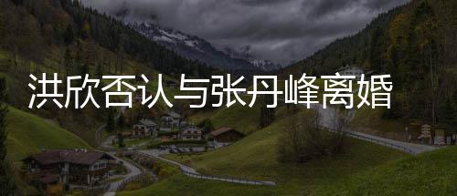 辟谣洪欣合照婚变丹峰离婚与张一家 晒三口否认