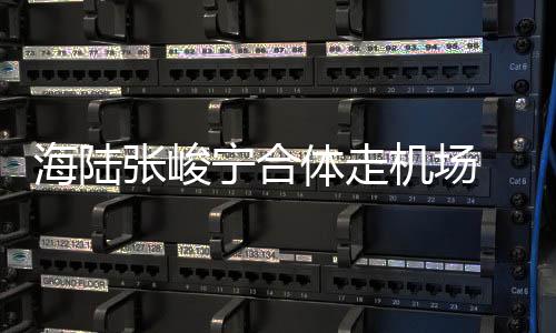 宁合张峻海陆动疑光机场密互体走似恋 亲情曝