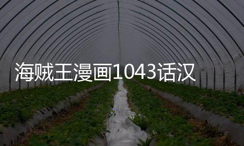 报剧王漫新情内容贼王海贼画13话汉化 海话最透