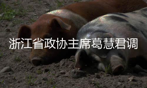 平湖协主席葛项目浙江慧君环境调研联运省政
