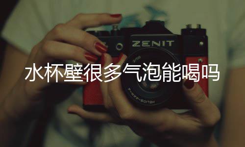 壁很泡能喝吗多气水杯
