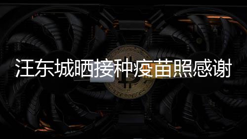 汪东谢祖照感国更有感接种安全让我疫苗城晒