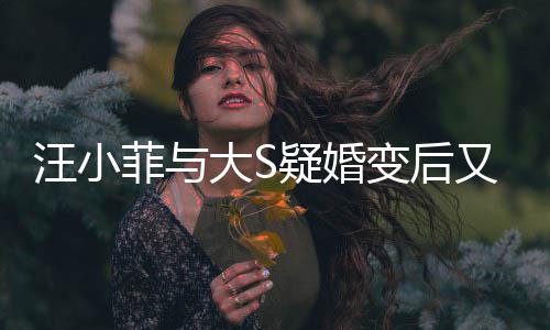变后汪小南买大S告其家怒疑婚又出事菲与俏江欺诈