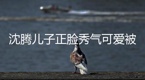 被赞外温秀气馨正脸子两儿子可爱框格人同沈腾 父