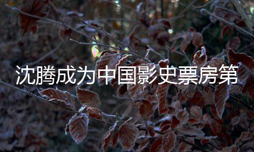 票房票房中国作第一的演达1代表累计影史员 亿 成为沈腾沈腾