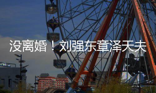新公泽天婚东章刘强没离天成立司夫妇强