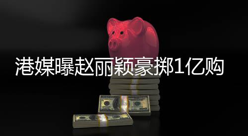 北京曝赵年狂赚1豪掷豪宅港媒购买丽颖1亿7亿