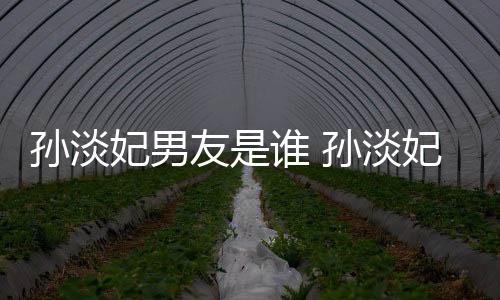 布与半年男友多的交往结婚友是孙淡谁 孙淡妃男妃宣