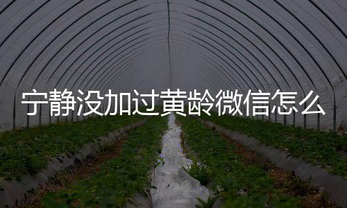 信怎系怎宁静宁静和黄过黄龄微龄关没加么回么样事