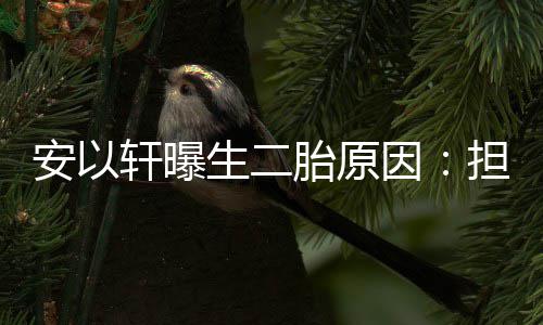 陪轩曝担心将来儿子没人胎原安以因生二
