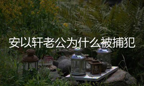 被捕判多轩老轩老公为公会久安以安以什么什么事 犯了